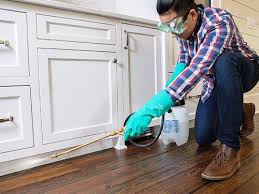 Best Pest Prevention Services  in Heflin, AL